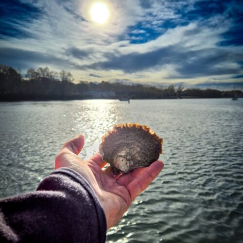 Luke_Helmer_Solent_Oyster7