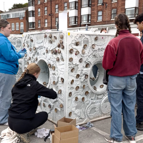 (c) Trai Anfield, Stronger Shores Project (2)