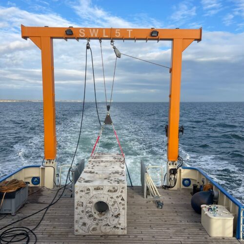 thumbnail_(c) celien gamble