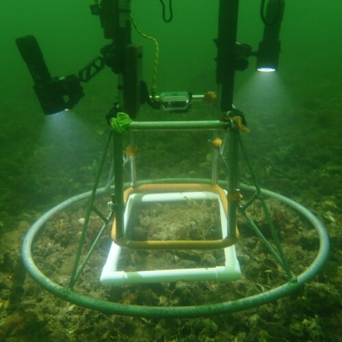 Drop down video set up for oyster monitoring_200922_ASML