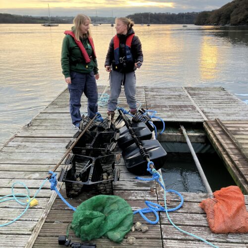 Oyster hotel deployment_151124_SB (8)