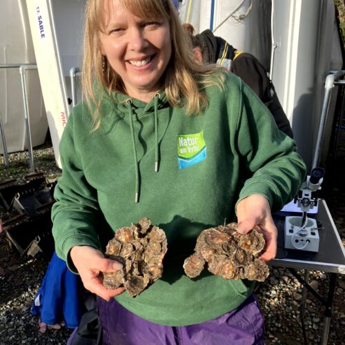 Oyster hotel visit 161225_SB (12)